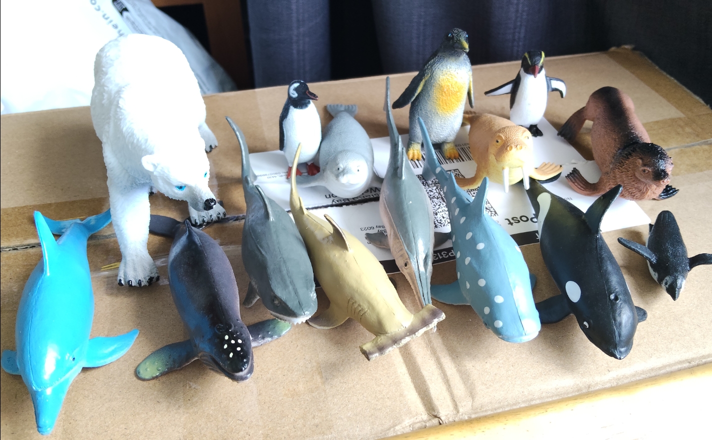 Ocean animals
